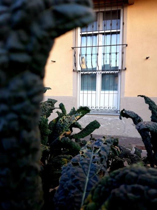 Casasassi Apartment Turin Exterior photo